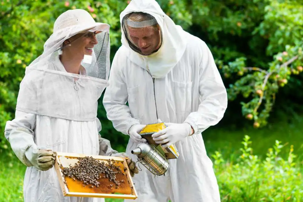 ​Join The Beekeeping Community