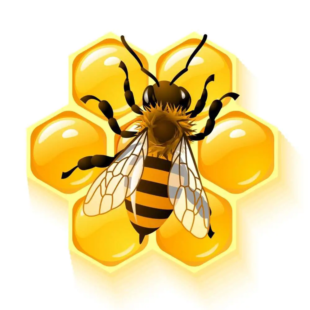 Best Bee Apps